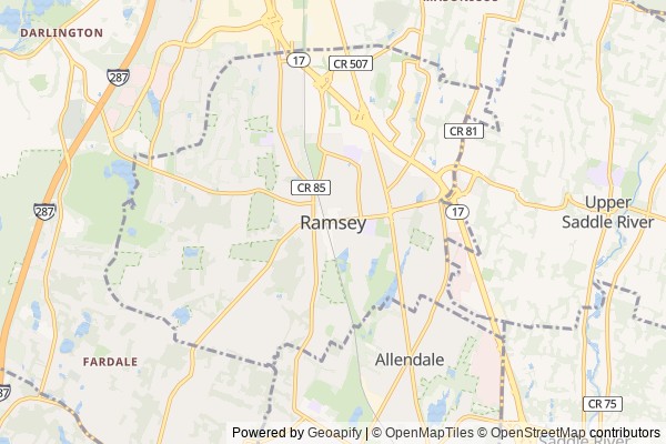 Ramsey digital marketing agency - Local SEO in Ramsey NJ - GeoGrid map of Ramsey NY visibility