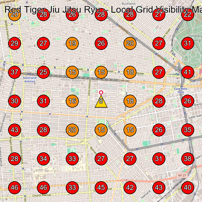 Red Tiger Jiu Jitsu Ryu GeoGrid visibility map for Martial Arts School in Brooklyn