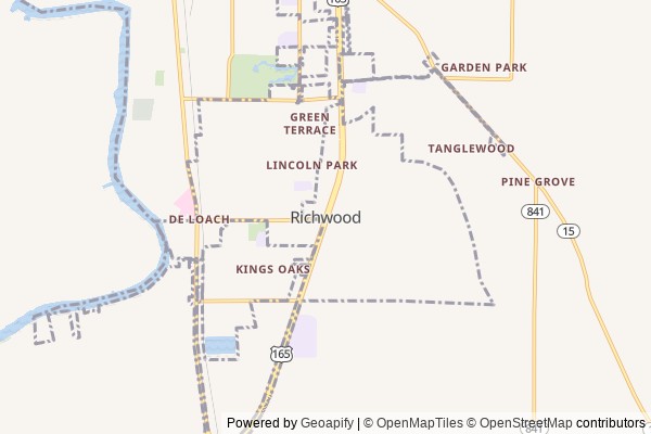 Richwood digital marketing agency - Local SEO in Richwood LA - GeoGrid map of Richwood NY visibility