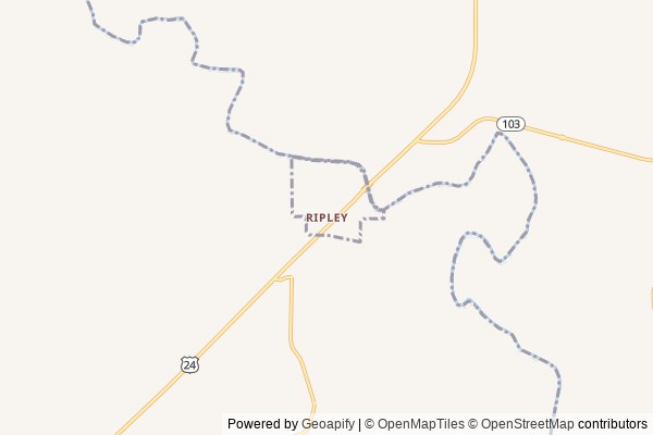 Ripley digital marketing agency - Local SEO in Ripley IL - GeoGrid map of Ripley NY visibility