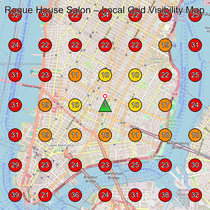 Rogue House Salon GeoGrid visibility map for Hair Salon in 125 E 4th St