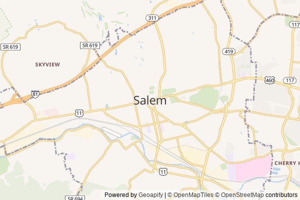 Salem digital marketing agency - Local SEO in Salem VA - GeoGrid map of Salem NY visibility