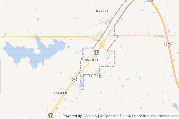 Savanna digital marketing agency - Local SEO in Savanna OK - GeoGrid map of Savanna NY visibility