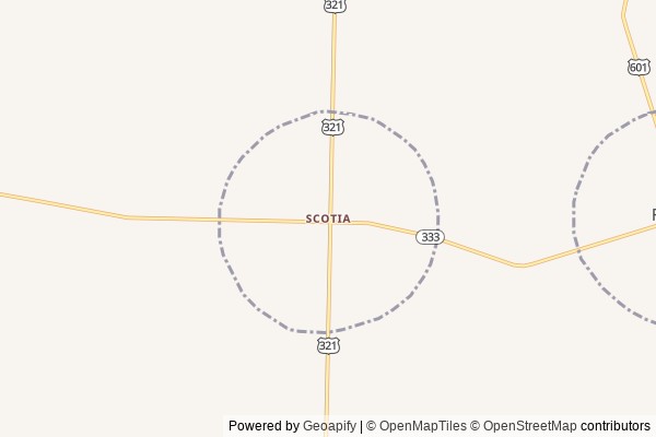 Scotia digital marketing agency - Local SEO in Scotia SC - GeoGrid map of Scotia NY visibility