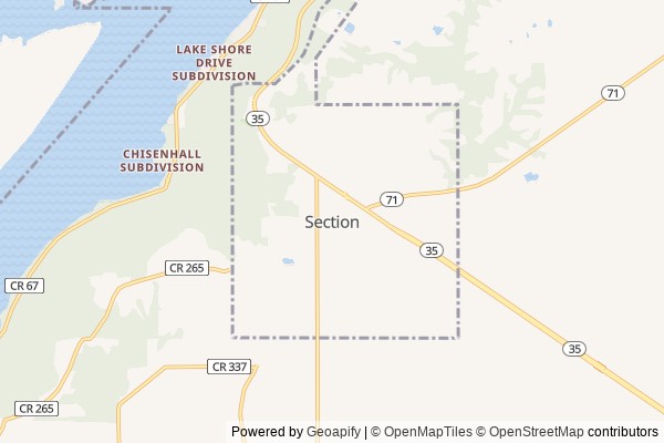 Section digital marketing agency - Local SEO in Section AL - GeoGrid map of Section NY visibility