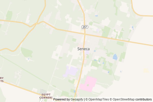 Seneca digital marketing agency - Local SEO in Seneca PA - GeoGrid map of Seneca NY visibility