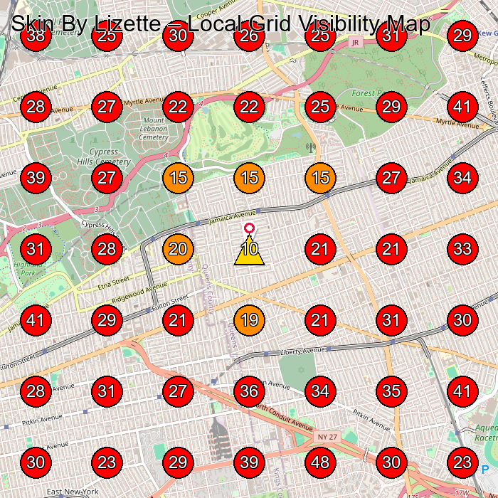 Skin By Lizette GeoGrid visibility map for Esteticista Facial in Richmond Hill