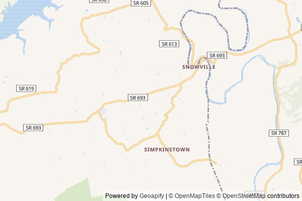 Snowville digital marketing agency - Local SEO in Snowville VA - GeoGrid map of Snowville NY visibility