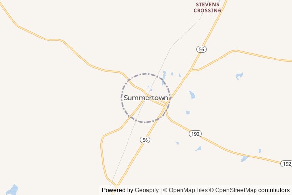 Summertown digital marketing agency - Local SEO in Summertown GA - GeoGrid map of Summertown NY visibility