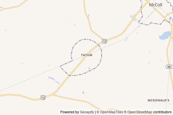Tatum digital marketing agency - Local SEO in Tatum SC - GeoGrid map of Tatum NY visibility