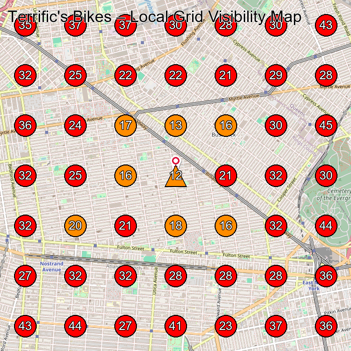 Terrific's Bikes GeoGrid visibility map for Bicycle Store in Brooklyn