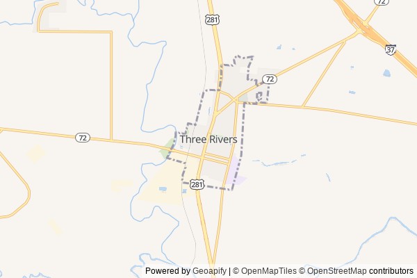 Three Rivers digital marketing agency - Local SEO in Three Rivers TX - GeoGrid map of Three Rivers NY visibility