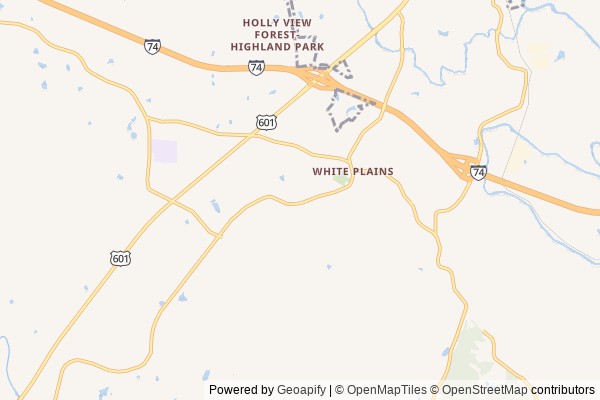 White Plains digital marketing agency - Local SEO in White Plains NC - GeoGrid map of White Plains NY visibility