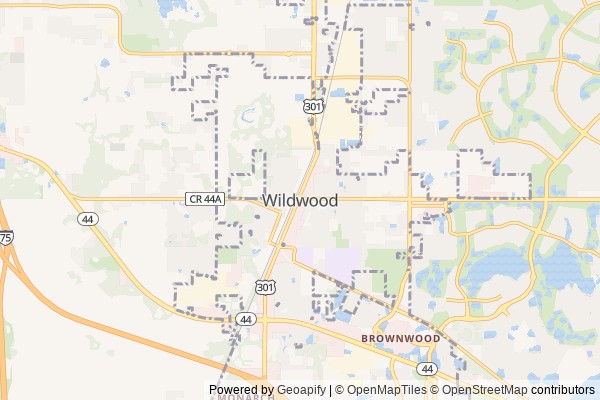 Wildwood digital marketing agency - Local SEO in Wildwood FL - GeoGrid map of Wildwood NY visibility