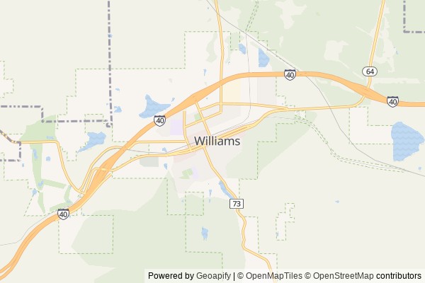 Williams digital marketing agency - Local SEO in Williams AZ - GeoGrid map of Williams NY visibility